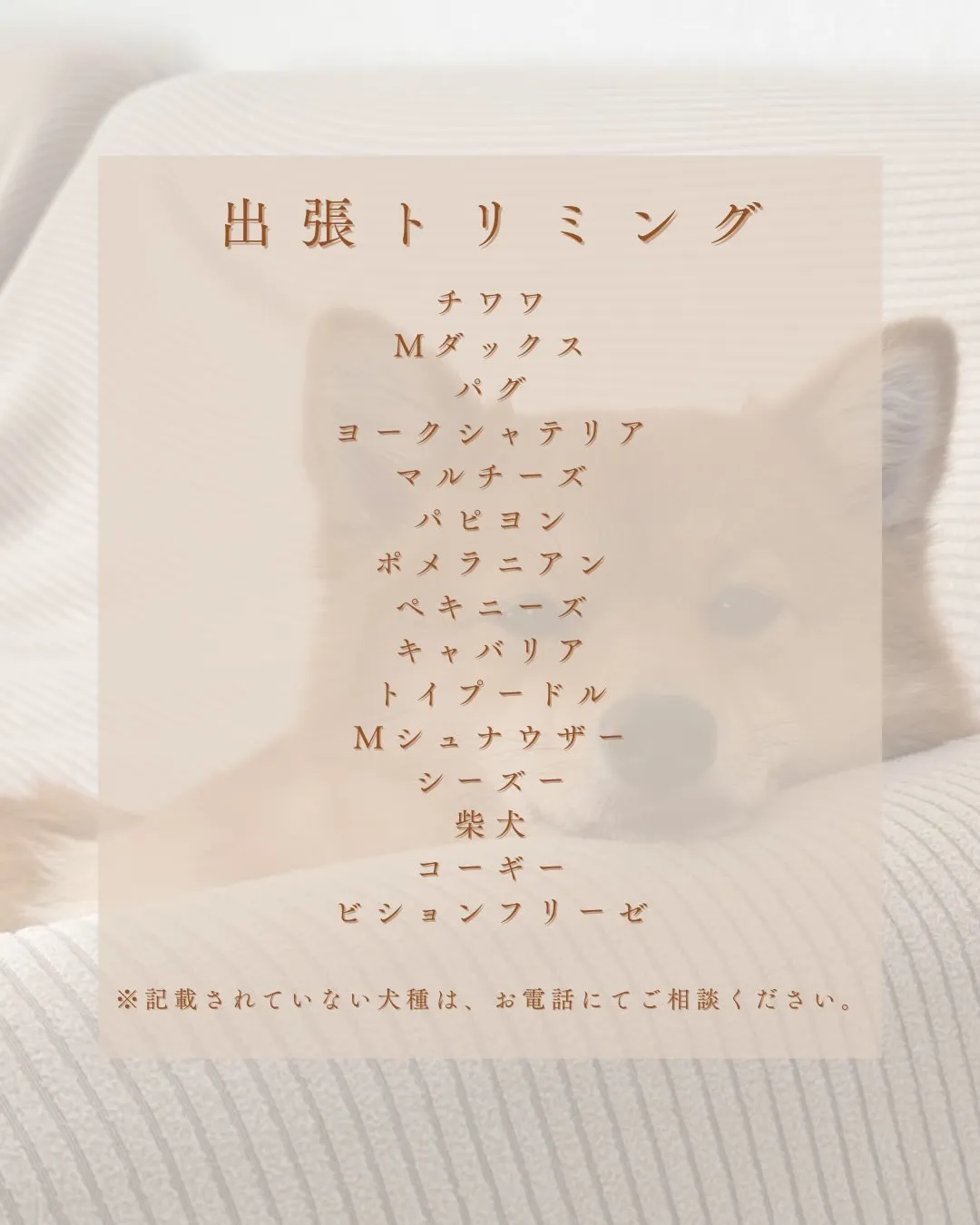 🏠✂️出張トリミング✂️🏠