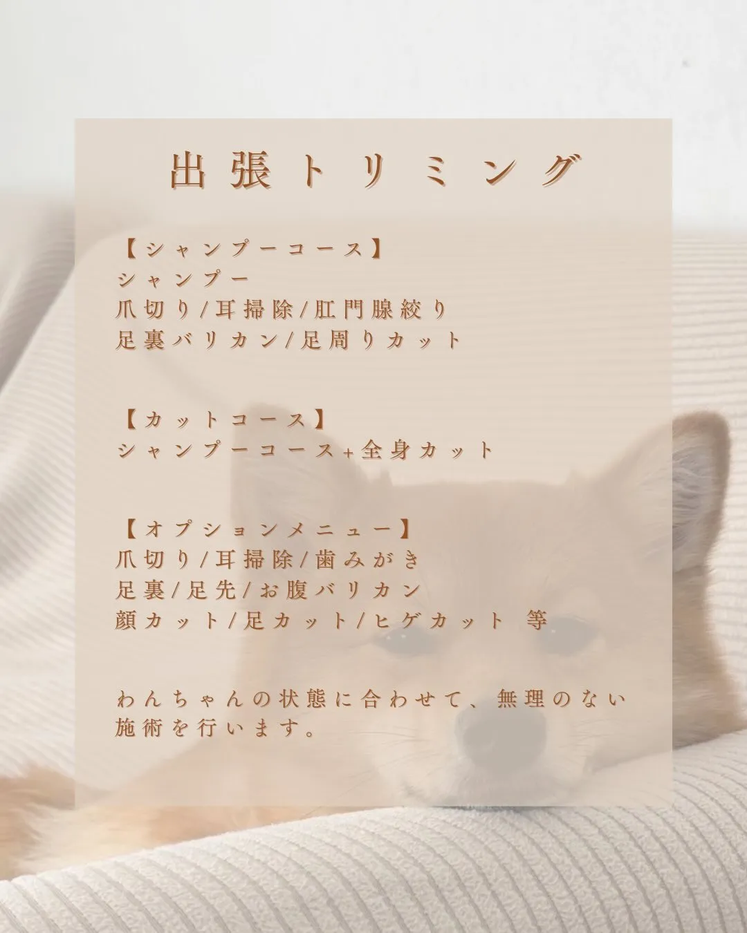 🏠✂️出張トリミング✂️🏠