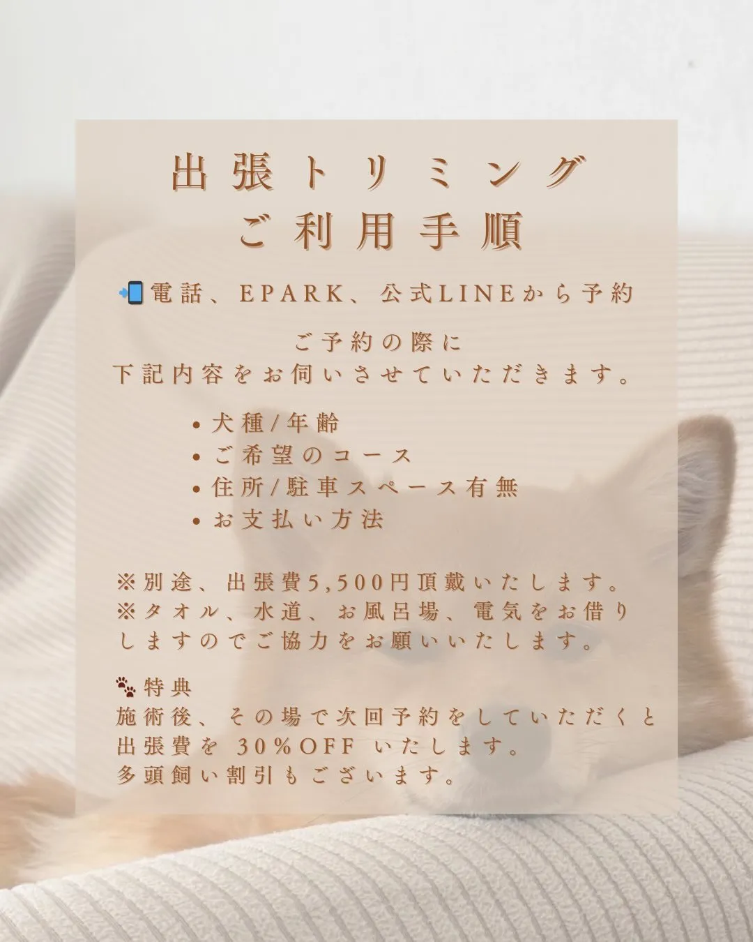 🏠✂️出張トリミング✂️🏠