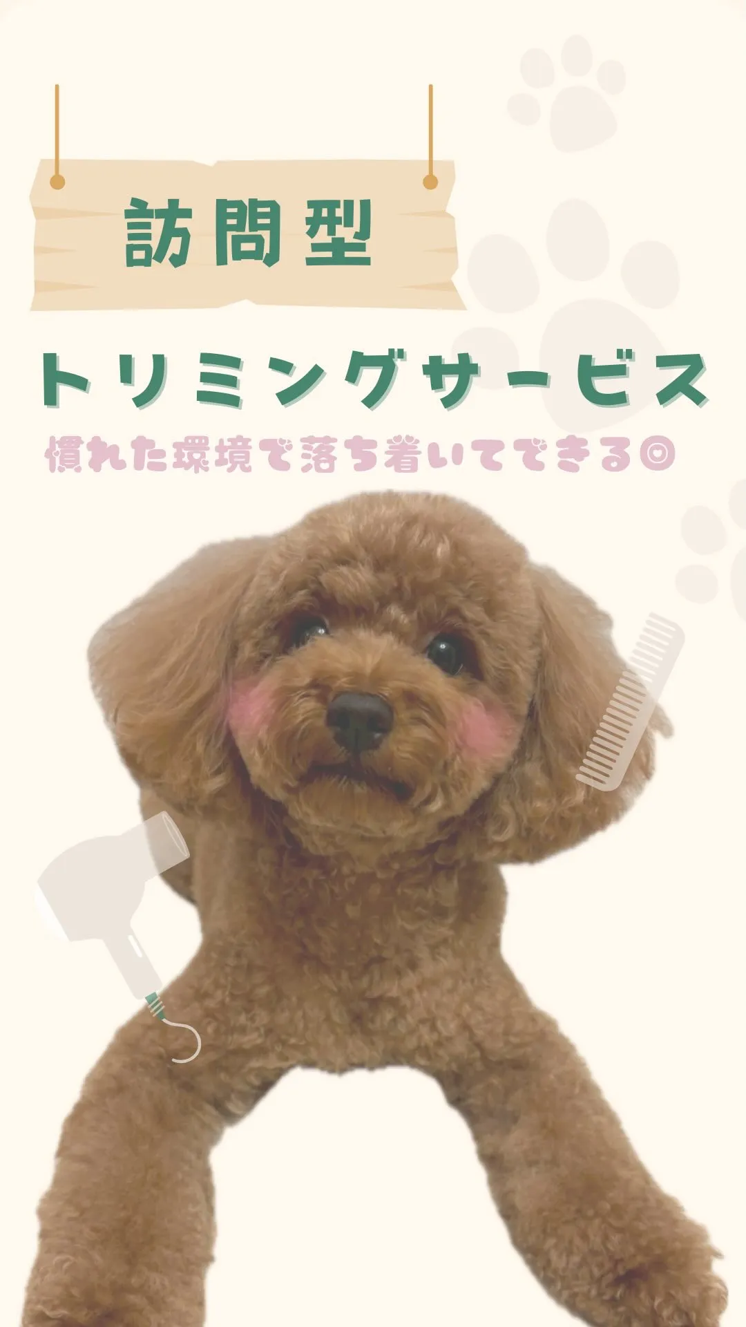 🐾出張トリミング🐾